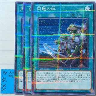 Ties of the Brethren (Normal Parallel) ×3 Yu-Gi-Oh! 3枚