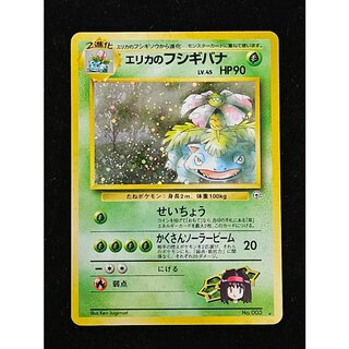 Erika's Venusaur Holo Old Back