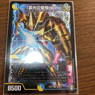 「雷光の聖騎士」