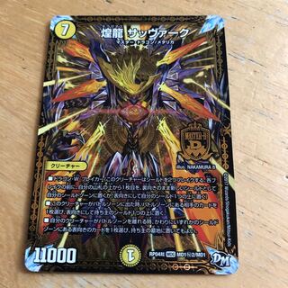 煌龍 サッヴァーク