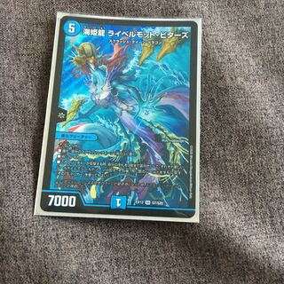 海姫龍 ライベルモット・ビターズ SR