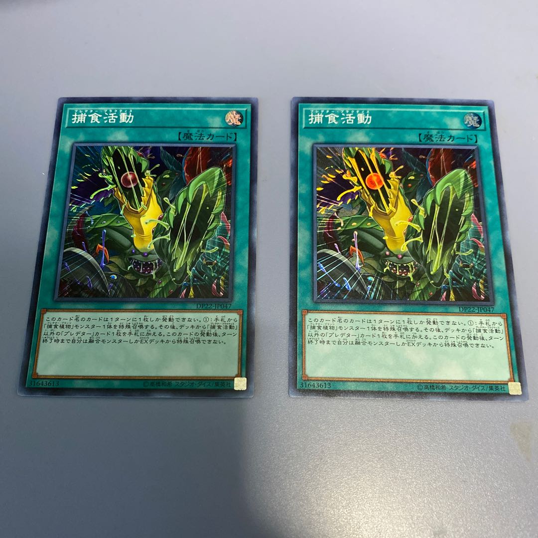 捕食活動 SR 2枚