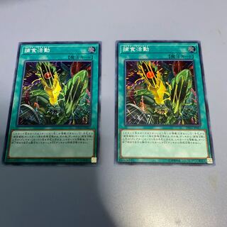 捕食活動 SR 2枚