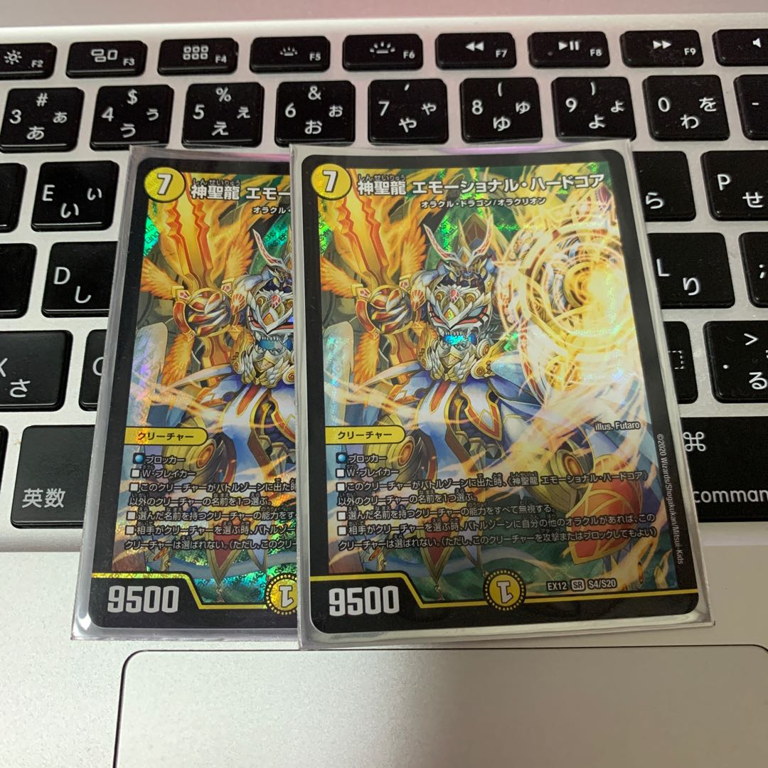 神聖龍 エモーショナル・ハードコア SR