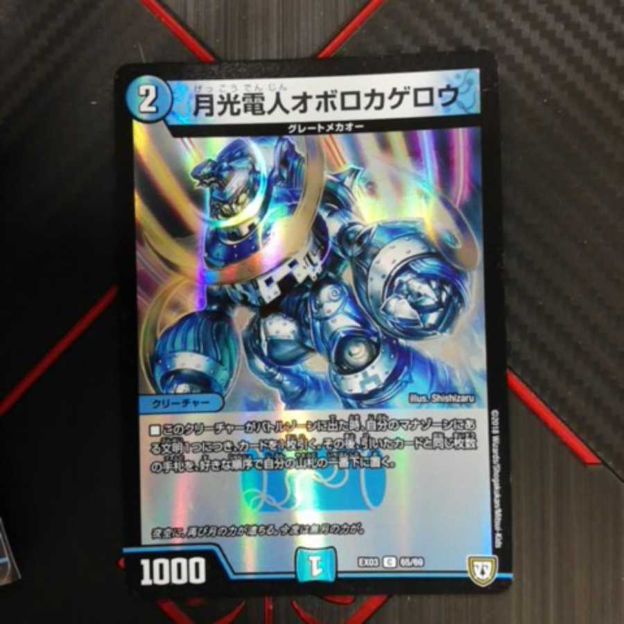 オボロティガウォックセット