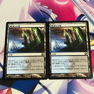 闇滑りの岸 2枚セット