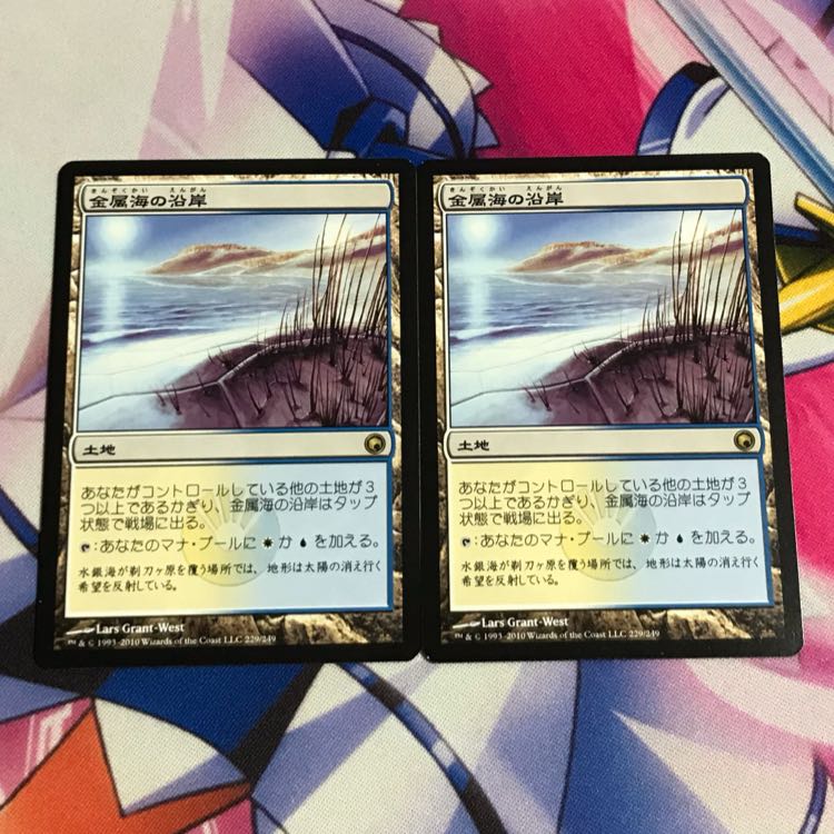 金属海の沿岸 2枚セット