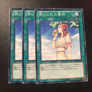 禁じられた聖杯 N