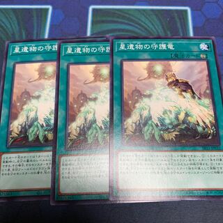 星遺物の守護竜　専用