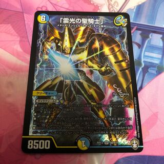 「雷光の聖騎士」