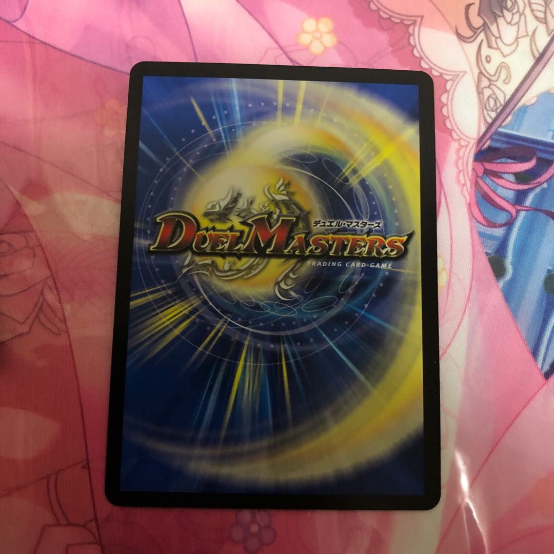 「雷光の聖騎士」