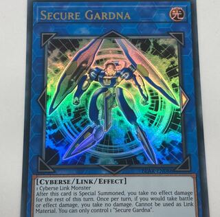 セキュア・ガードナー　英語版　EU版　