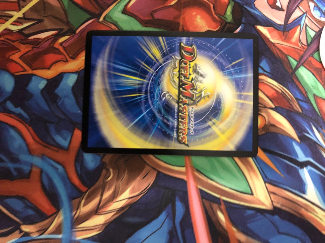 「雷光の聖騎士」