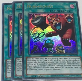 魔獣の懐柔　ドイツ語版　EU版　3枚