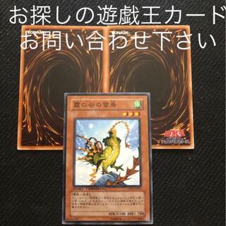 霞の谷の雷鳥　おまけ2枚　ミストバレーの雷鳥