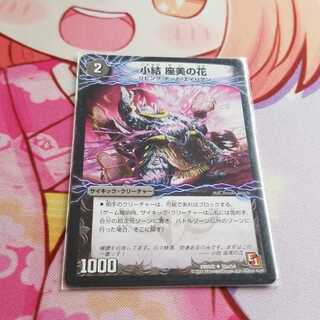 小結 座美の花｜雲龍 ディス・イズ・大横綱(下) U