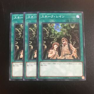 スネーク・レイン N