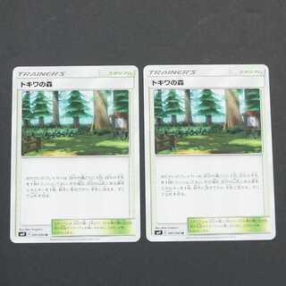 19773　トキワの森　2枚セット