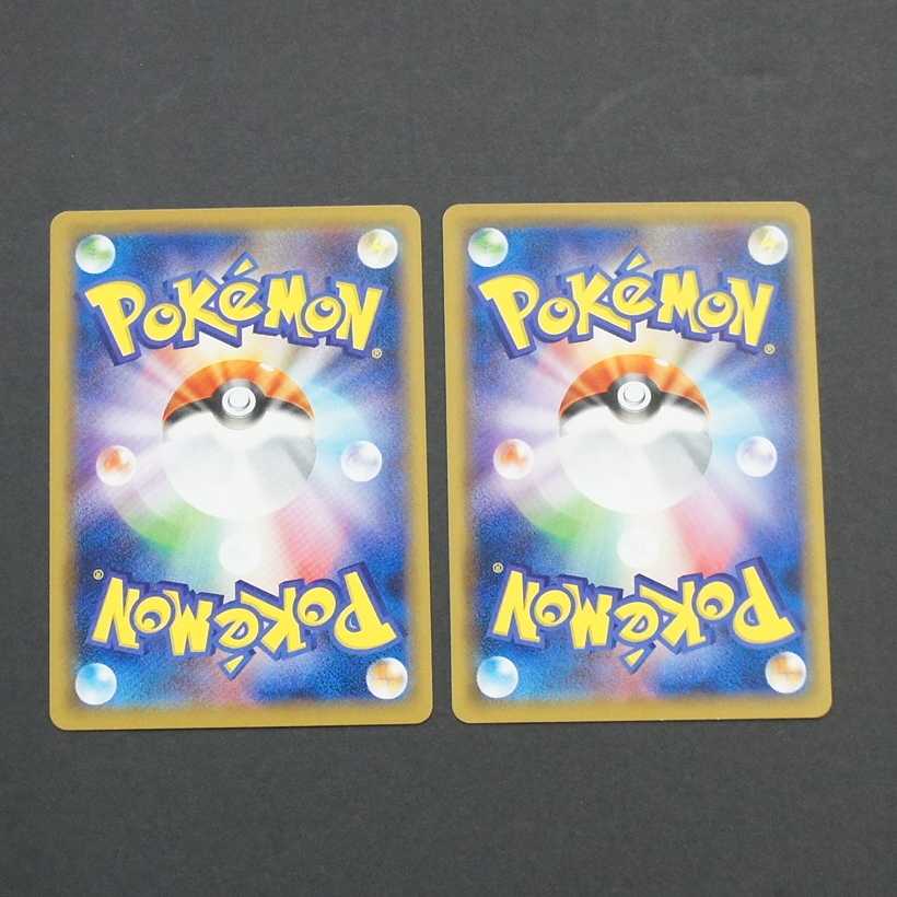 19773 トキワの森 2枚セット