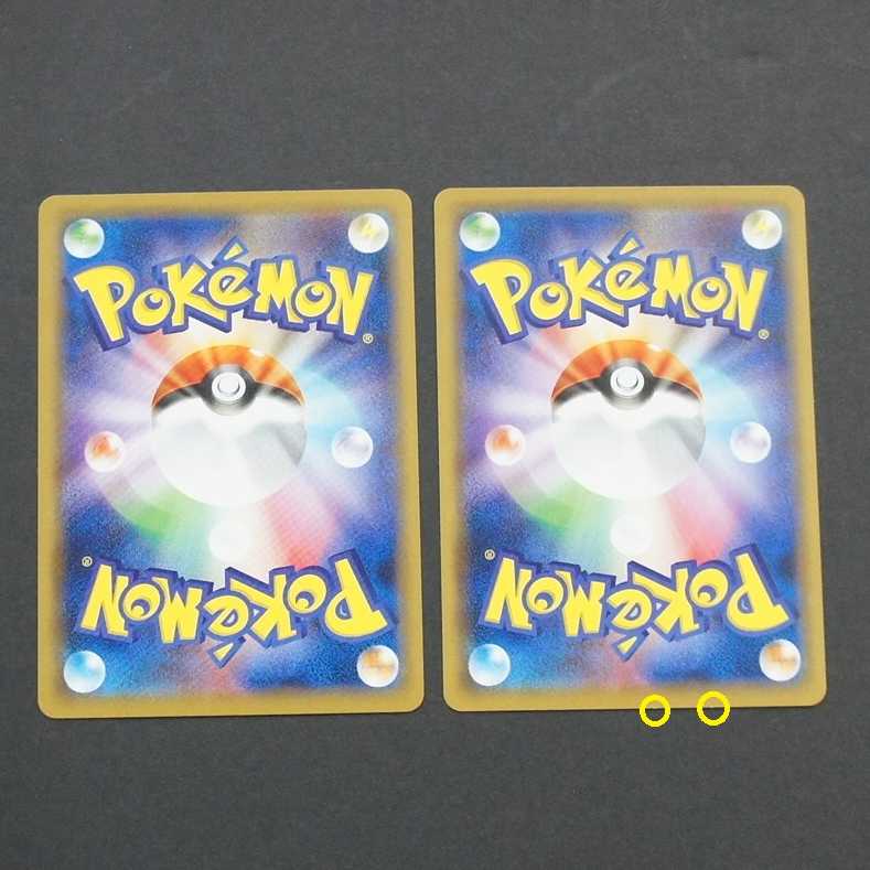 19773 トキワの森 2枚セット