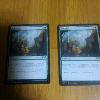 荒野の再生　日　2枚セット