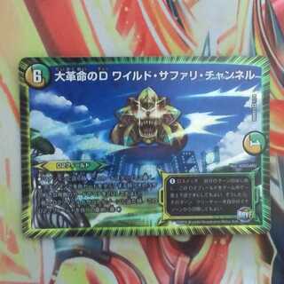 大革命のD ワイルド・サファリ・チャンネル 1枚