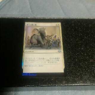 過大な贈り物　foil