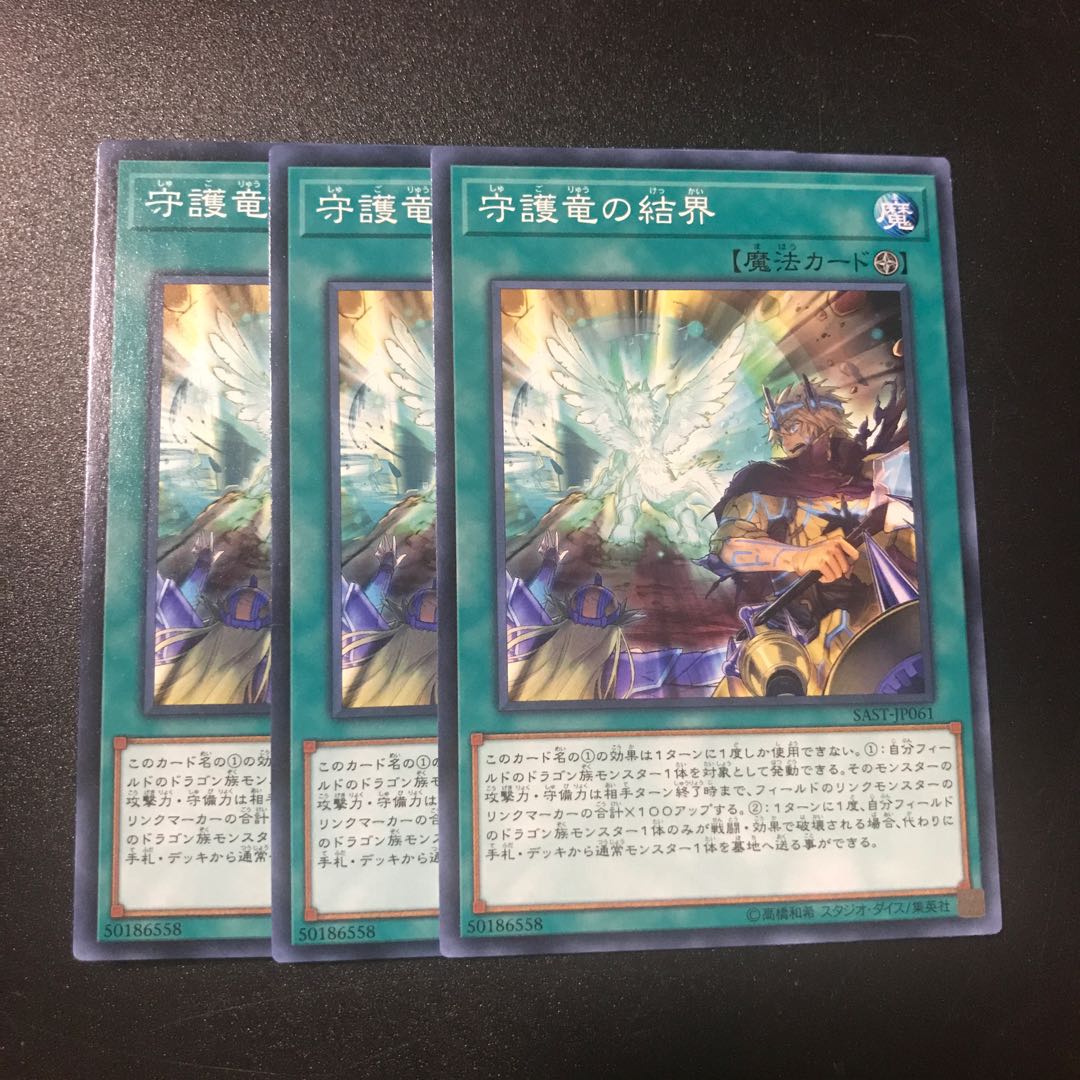 守護竜の結界 N