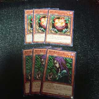 クリッター、黒き森のウィッチ