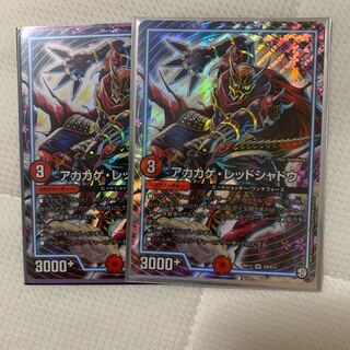 アカカゲ・レッドシャドウ