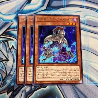 幻影騎士団ティアースケイル R