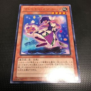 マドルチェ・マジョレーヌ R