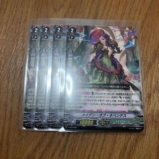 メイデンオブネペンテス　4枚