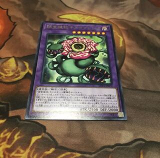 捕食植物キメラフレシア R