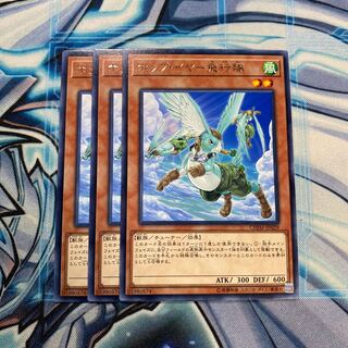 ホップ・イヤー飛行隊 R