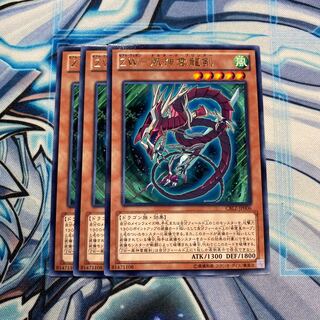 ZW-風神雲龍剣 R