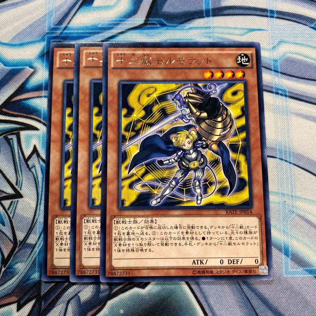 十二獣モルモラット R