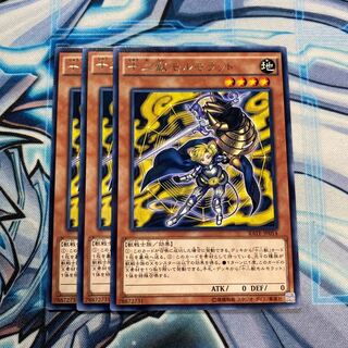 十二獣モルモラット R