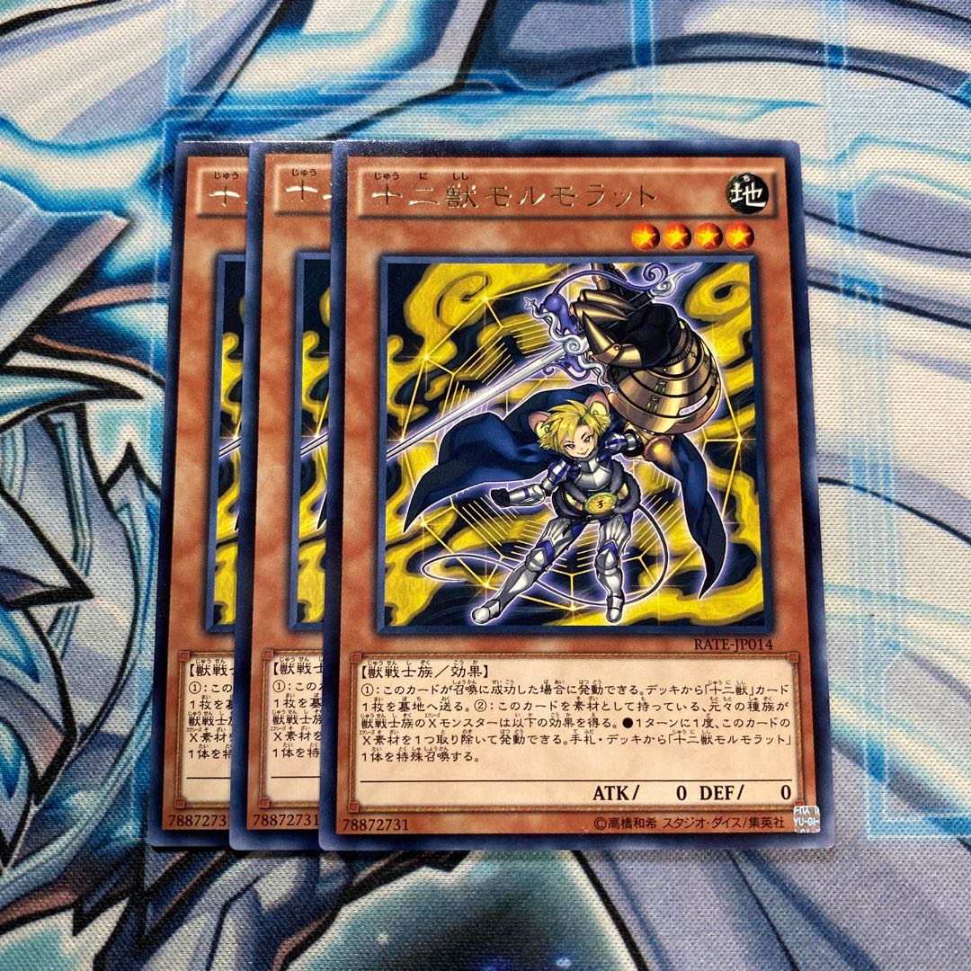 十二獣モルモラット R