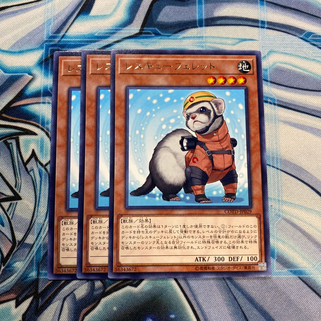 レスキューフェレット R