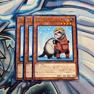 レスキューフェレット R