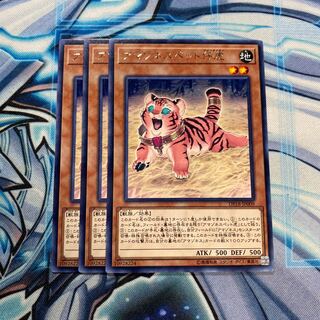 アマゾネスペット仔虎 R