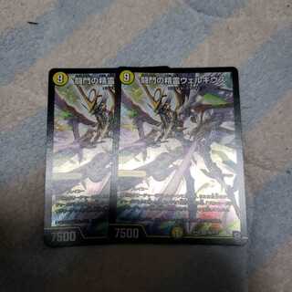 闘門の精霊ウェルキウス