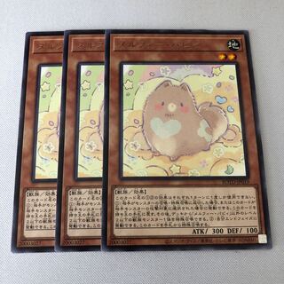 メルフィー・パピィ　3枚