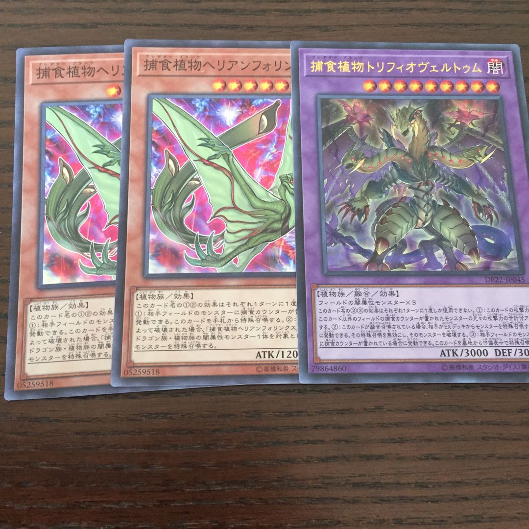 捕食植物トリフィオヴェルトゥム UR