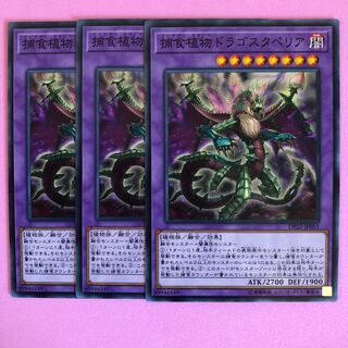 遊戯王 捕食植物ドラゴスタペリア 3枚 ノーマル