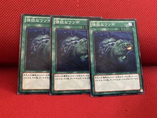 強欲なウツボ N 3枚セット