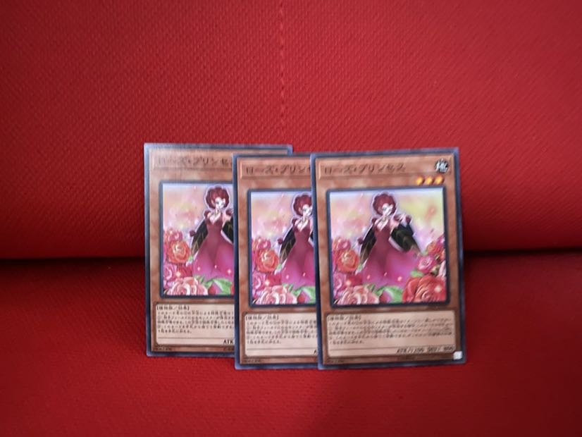 ローズ・プリンセス N 3枚セット