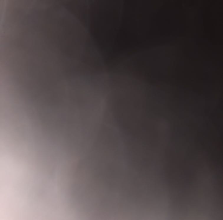 楽族デッキ募集中!!