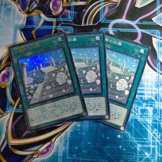 白薔薇の回廊 UR１ N２ ３枚セット